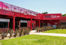 nestle cacapava