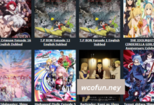 wcofun.ney